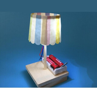 赞璐桐（ZANLUTONG）科学实验DIY纸杯小台灯科技小制作小发明手工环保材料拼装模型