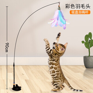 Small ancient cat toy, suction cup, cat teasing stick, cat self-pleasure and boredom relief artifact, lazy person's automatic cat teasing stick, feathers with bells, bite-resistant, colorful feathers, third generation powerful suction cup