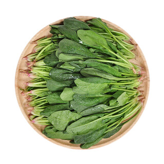 24-hour vegetable spinach seedlings 400g (length 20cm)