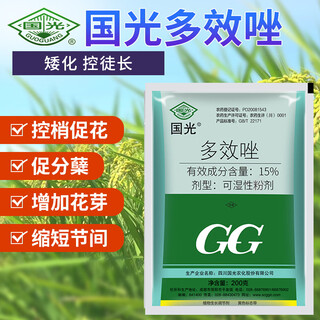 Guoguang 15% paclobutrazol fruit tree plant flower chrysanthemum lily succulent wheat rice dwarfing agent short and strong control 100g*100 bags/box