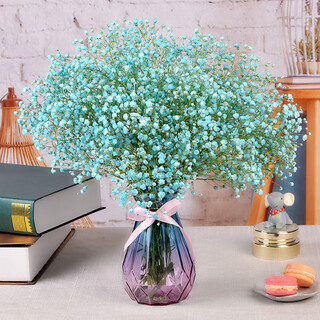 Aiman gypsophila natural dried flower bouquet ins internet celebrity birthday new house decoration ornaments air-dried real flower arrangement home furnishings sky blue gypsophila with m vase