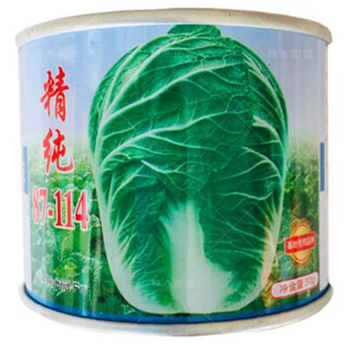 Autumn sowing chinese cabbage seeds vegetable garden field planting farmers winter cabbage vegetable purple pure 87-114 canned cabbage seeds 50g