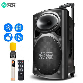 Sony ericsson sa-t19 outdoor audio 12-inch high-power square dance audio mobile portable bluetooth charging trolley speaker with wireless microphone 12-inch + wireless microphone