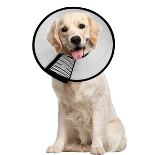 Lorif pet dog and cat elizabethan ring deepened anti-licking ring headgear dog and cat sterilization collar extra large neck circumference 49-56cm-80jin jin equal to 0.5 kg for pets below