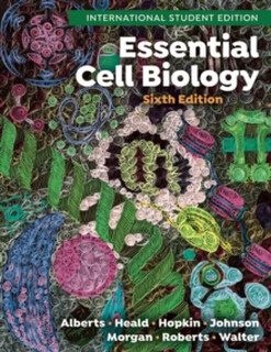 现货 Essential Cell Biology―6th International Student Edition 英文原版 9781324033394