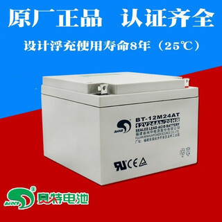 赛特BT-12M24AT(12V24Ah/20HR)铅酸蓄电池灰白消防100％电池 BT-HSE-24 12