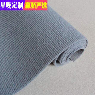 Star night home bedroom room living room ins style photo carpet fully covered large area rental house renovation bedside shop light gray stripes (5 mm) 1.5 meters wide and 10 meters long one piece