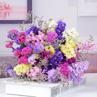 Aiman flowers, real flowers, yunnan dried flowers bouquet, forget-me-not real flowers, home furnishings, flower arrangements, simple mix and match of gypsophila dried flowers, six-color forget-me-not + lover's grass, 30 pieces, dried flower bag