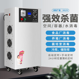 Maple flower registered model cyj1930b-y 30g ozone generator ozone disinfection machine ozone machine food factory workshop breeding farm bacteria cultivation room cold storage warehouse sterilization