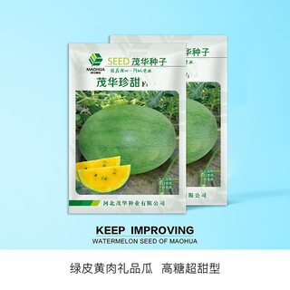 Zhongke maohua melon fruit seeds zhentian moon beauty gift watermelon seeds black beauty watermelon seeds home gardening balcony potted plants maohua zhentian 100 capsules/bag green skin yellow flesh 3-4jin jin equals 0.5 kg