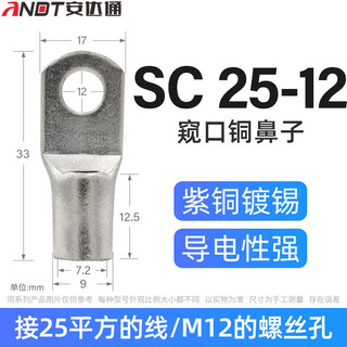 Andatong sc peek copper wire nose terminal short wire nose single pressure marine copper galvanized connector 25-12 (100 pieces)