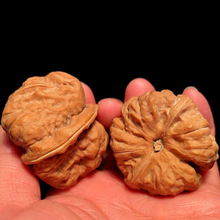 Shanzhong yuwen plays with walnuts, plays with old tree, golden toad handle, mid-autumn festival gift for men, black gold model 38-39mm toad head