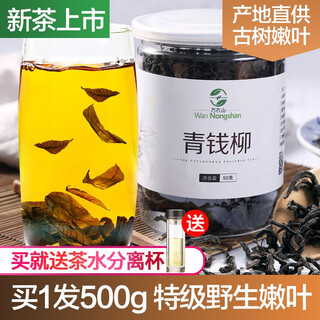 Qingqianliu tea 500g wild special grade sugar-free ancient tree tender leaves authentic qingqianliu qingqianliu tea can be paired with apocynum gynostemma pentaphylla 500g