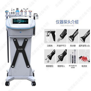 South korea's sixth generation 1.9pro skin management comprehensive instrument facial oxygen injection and moisture introducing firming and lifting beauty salon specialty sixth generation white comprehensive model (gift pack)