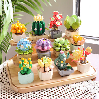Fermi compatible lego children's building block toy boys and girls birthday gift 1050 pills healing succulent s2321