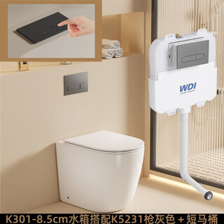 威迪亚落地隐藏马桶分体墙排坐便器后排水座便入墙矮水箱马桶小户型坐厕 K301水箱枪灰色椭圆形按钮＋53cm马桶 其他/other