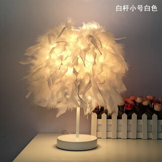 曜添创意简约欧式羽毛台灯卧室床头公主婚房温馨LED生日礼物玫瑰台灯 小号白杆白色羽毛 按钮开关