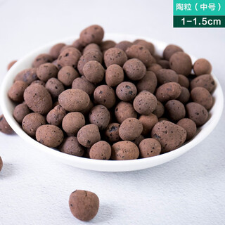 Hua linglong universal succulent green plant paving stone, breathable, large package of five decorative pure granular soil