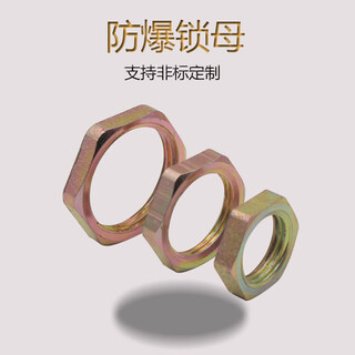 Zuidid explosion-proof lock nut carbon steel hexagonal nut dn15dn nut 20dn25 thickened bridge iron lock nut g1/2 (4 points) (dn15) (carbon steel)