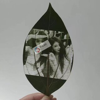 Qiao bo lai leaf laser engraving machine, leaf engraving machine, leaf printing photo machine, engraving cola key chain marking machine, leaf special engraving machine