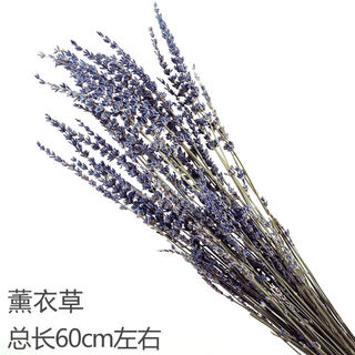 Aiman natural wheat ears dried flower bouquet for new store opening barley gift living room pastoral decoration photography props lavender bouquet