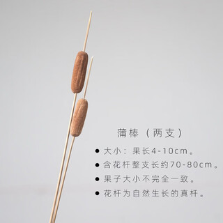 Aesthetic hacker living room flower arrangement dried flower bouquet real flower mix and match floor display restaurant desktop pine cone decoration natural photo props 2 sticks