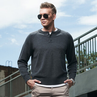 Dragon tooth hidden scale merino wool henley collar pullover enhanced edition men's versatile top junxingxing battleship gray 170/92a(s)