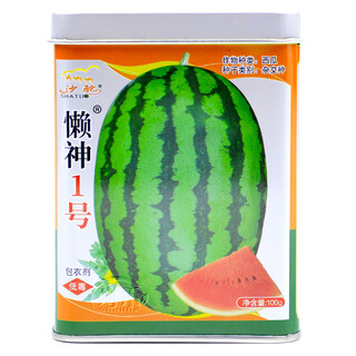 Shouhe lazy man watermelon seed lazy man king melon extra large spring no pruning lazy man fruit seedling southern sweet lazy god no. 1 lazy man watermelon seed 100g/medium ripe