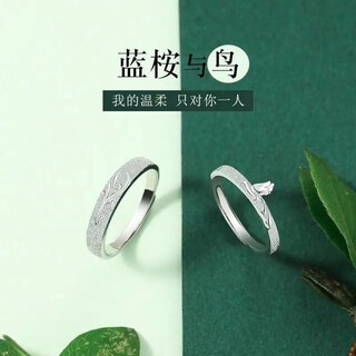 Coffney pure silver eucalyptus eucalyptus couple rings, a pair of rings for a man and a woman, christmas gifts for girls, girlfriends and wives, eucalyptus and bird couple rings