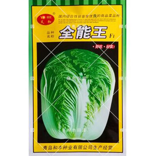 Autumn sowing chinese cabbage seeds in vegetable gardens and field planting for farmers in winter cabbage vegetables, almighty king cabbage seeds, 10 grams, about 1,000 grains