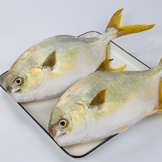 Xiangtai hainan golden pomfret, net weight 900g, 2 pieces, fresh fish, hot pot ingredients, seafood