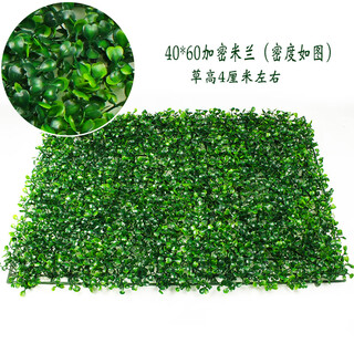 Qiyihang simulated lawn balcony outdoor wall decoration grass wall artificial green plastic fake lawn 40*60 milan grass