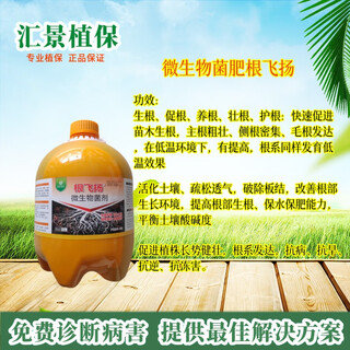 Linhai's flying roots, strong old trees, weak trees, rejuvenation, treatment of dead trees, germination, root packaging, diseased tree resurrection liquid, pink