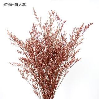 Aiman ins air-dried flower bouquet home decoration small fresh living room flower arrangement internet celebrity decoration baby's breath eternal flower sn reddish brown lover's grass
