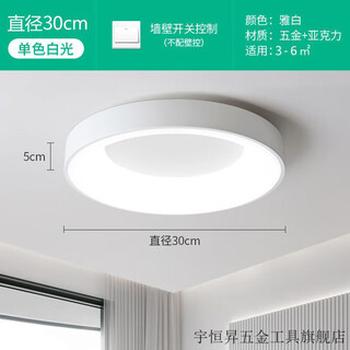 Vinoa bedroom ceiling lamp nordic simple modern room ring led lamp minimalist round dining room master bedroom lamp simple white moon style round 30cm three color changing light