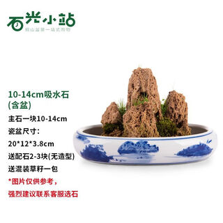 Shiguang station absorbent stone natural stone bonsai fish tank courtyard large fish pond landscaping absorbent stone original stone water stone bonsai 10-14cm absorbent stone with 19cm blue flower pot