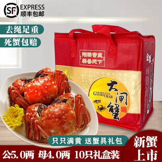 Live crab yangcheng emperor hairy crab fresh spot extra large male crab female crab exquisite gift box spot male 5.0 two female 4.0 two 5 pairs 10 pieces