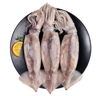 Mega fresh frozen whole large squid (2-3 pieces) net weight 550g whole squid deep sea fishing
