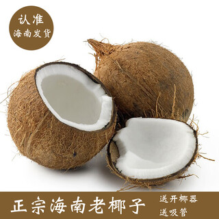 Fresh friend ji hainan old coconut hairy coconut black coconut emperor (sprouted coconuts are randomly distributed), thick flesh, soup and juiced coconut 4 pieces (single fruit 1 jin jin is equal to 0.5 kg and above)