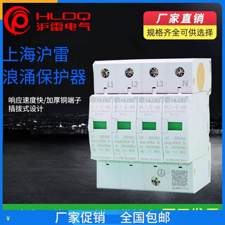 Shanghai hu lightning surge protector lightning protection hl1-c-40 power switch arrester module 2p secondary 20--40ka 4p