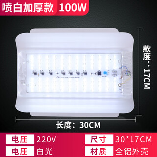 Led iodine tungsten lamp construction site lighting 1000w ultra-bright waterproof outdoor work floodlight halogen tungsten solar lamp spray white extended and thickened version 100 watts - white light other x other