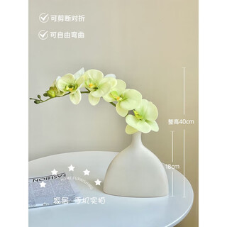 Flower e-flow phalaenopsis artificial flower fake flower table decoration light luxury high-end flower arrangement dining table floral decoration home decoration 1 smoke green + narrow mouth flat bottle