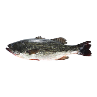 1 other brand of chilled river bass (original weight 400-500g)