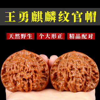Caihe wenwan walnut official hat walnut wenwan antique walnut wang yong 44-45mm linlin pattern
