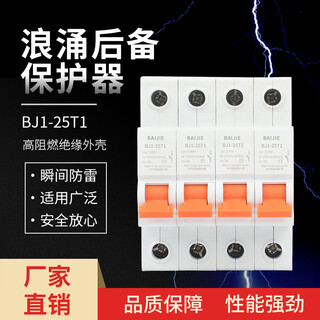 Surge backup protector power supply lightning protection module lightning protection 100ka arrester surge protector 25t1-100 80ka