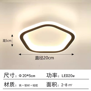 Yilin led ceiling lamp modern and simple balcony aisle corridor cloakroom entrance small light strip lamp five sides 20cm20w/white light