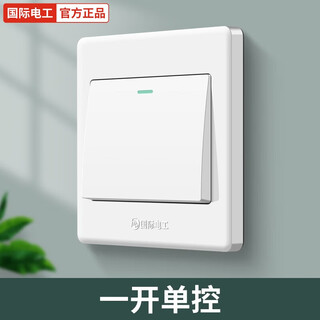 国际电工86型全塑白色暗装带开关插座五孔插座家用一开单双控五孔灯开关 一开单控