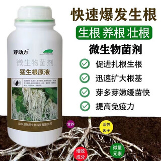 Bud power fierce rooting stock solution powerful rooting and seedling strengthening agent for transplanting cuttings, fruit trees and flowers special root-promoting root strengthening fertilizer fierce rooting stock solution 500g * 4 bottles