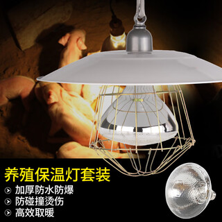 Dr. pig insulation lamp for breeding piglets and piglets heating bulb for breeding farm and pig farm heating lamp set for pig house and pig lampshade for livestock equipment white pockmarked light bulb 4-piece set