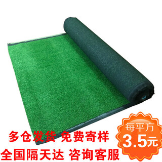 Hanoufei artificial lawn artificial turf roof balcony plant enclosure wall decoration kindergarten plastic fake 1.0 cm emerald green (encrypted)
